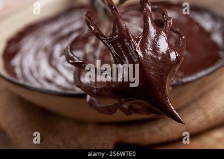 Un bol de pâte au chocolat, un fouet pour fouetter, cuire au four, structure et consistance, fait maison, vue de dessus, personne Banque D'Images