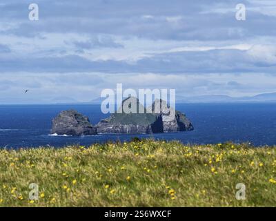 Vue de l'île de Heimaey à la formation rocheuse de Vestmannaeyjar, îles Westman, Islande, Europe Banque D'Images