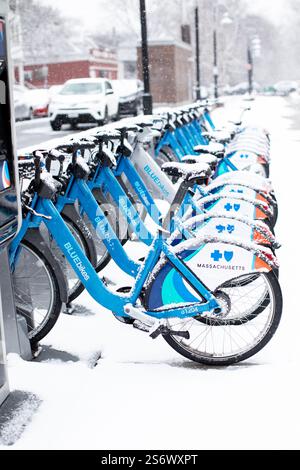 Vélos de location Blue Cross dans la neige dans le quartier Dorchester de Boston, Massachusetts, États-Unis. Banque D'Images