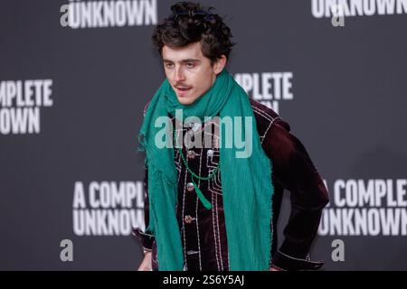 Auditorium Parco della Musica, Rome, Italie, 17 janvier 2025, Timothee Chalamet assiste à la première conférence photo « A Complete Unknown » à l'Auditorium Parc Banque D'Images