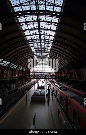 Portrait de la gare de Luz à Sao Paulo, Brésil Banque D'Images