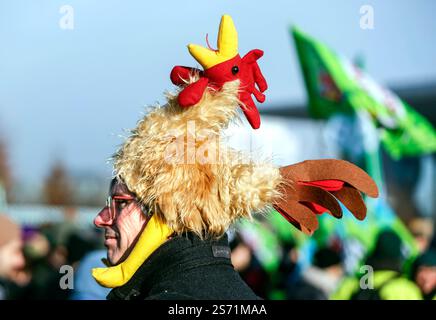 Demo Wir haben es satt Tausende Demonstrierende Fordern auf der Wir haben es satt Demo von der künftigen Bundesregierung ein Bekenntnis und eine Förderung für eine bäuerlich-ökologischere Landwirtschaft, weg von der Agrarindustrie. Hier im Bild ein Demonstrant mit einem symbolischen Huhn demonstriert für eine artgerechte Tierhaltung und Beendigung des Tierleids. Berlin Berlin Deutschland *** Demo en ont marre des milliers de manifestants à la démonstration en ont marre demandent un engagement et un soutien du futur gouvernement fédéral pour un système agricole plus écologique, loin de l'indus agricole Banque D'Images