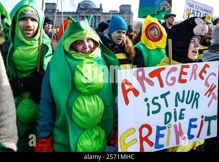 Demo Wir haben es satt Tausende Demonstrierende Fordern auf der Wir haben es satt Demo von der künftigen Bundesregierung ein Bekenntnis und eine Förderung für eine bäuerlich-ökologischere Landwirtschaft, weg von der Agrarindustrie. Hier im Bild Demonstrantinnen tragen Tierkostüme für artgerechte Tierhaltung und Beendigung des Tierleids. Berlin Berlin Deutschland *** Demo en ont eu marre des milliers de manifestants à la démonstration en ont eu marre demander un engagement et le soutien du futur gouvernement allemand pour un système agricole plus écologique, loin de l'industrie agricole ici dans l'image dem Banque D'Images