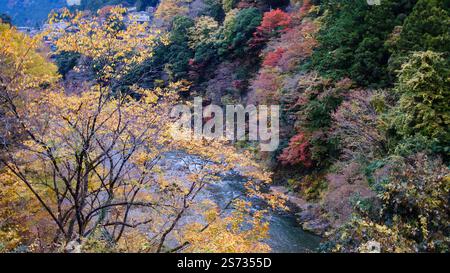La gorge de Hikawa vue depuis le pont de Moegi, présentant les sources de la rivière Tama qui coulent doucement à travers le feuillage tamisé de fin d'automne sous un ciel couvert i. Banque D'Images