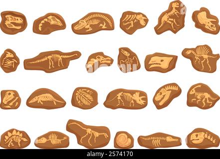 Icônes fossiles de dinosaure Set vecteur de dessin animé. Éducation à la nature. Géologie animale. Icônes fossiles de dinosaure Set vecteur de dessin animé. Éducation à la nature Illustration de Vecteur