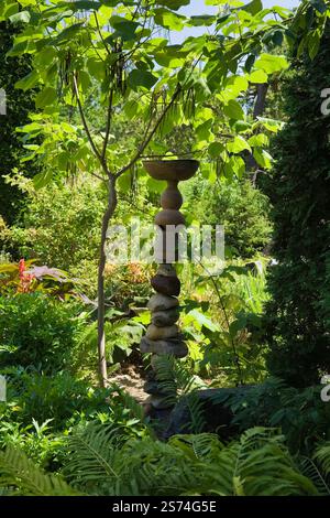 Roches empilées et pots en céramique sculpture à côté de Catalpa bungei - Catalpa Tree Mandchourie et Pteridophyta - plantes de fougères dans le jardin de l'arrière-cour en été, Banque D'Images