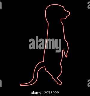 Suricat néon dans pose Suricata Suricatta rouge illustration vectorielle image de style plat lumière. Suricat néon dans pose Suricata Suricatta couleur rouge illustration vectorielle image style plat Illustration de Vecteur
