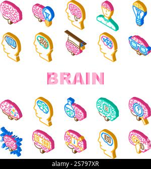 vecteur d'ensemble d'icônes de tête humaine d'esprit de cerveau. idée d'intelligence, éducation créative, science penser, conception anatomique, connaissance cerveau esprit humain tête isométrique illustrations. vecteur d'ensemble d'icônes de tête humaine d'esprit de cerveau Illustration de Vecteur