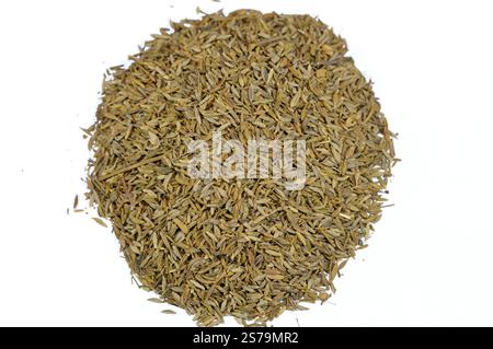 Graines de cumin séchées, cumin Cuminum cyminum est une plante à fleurs de la famille des Apiaceae,les graines contiennent dans un fruit, qui est séché utilisé dans les cuis Banque D'Images