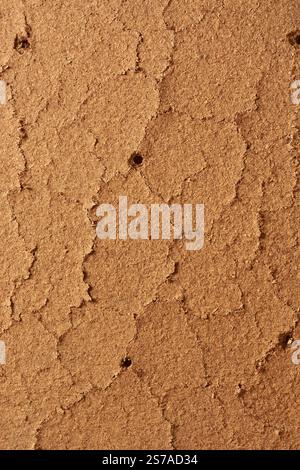 gros plan de vieux fond de surface de planche de bois brun rougeâtre altéré, texture de l'âge et planche de bois rustique avec des fissures et de petits trous Banque D'Images