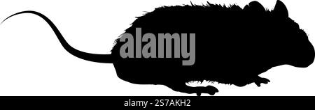 silhouette de rat - illustration vectorielle Illustration de Vecteur