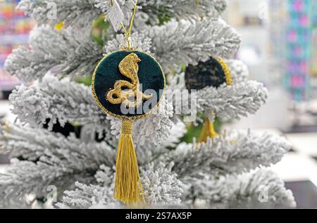 emblème de serpent doré brodé sur un cercle de velours. Année du serpent, prédiction et feng shui Banque D'Images