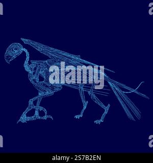 Image bleue d'un squelette d'oiseau. Le squelette est montré de manière très détaillée et complexe, avec chaque os et plume clairement visible. Concept d'admiration Illustration de Vecteur