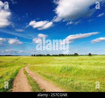 Paysage rural avec country road et ciel bleu Banque D'Images