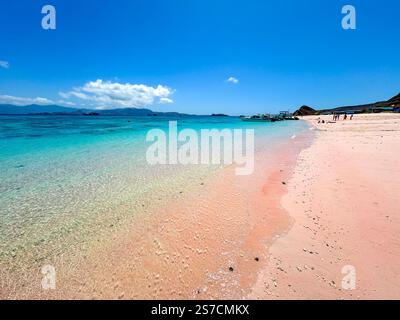Célèbre plage rose avec eau turquoise claire sur l'île de Komodo, Indonésie Banque D'Images