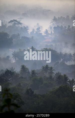 Lever du soleil sur Borobudur dans la brume matinale, Java central, Indonésie Banque D'Images