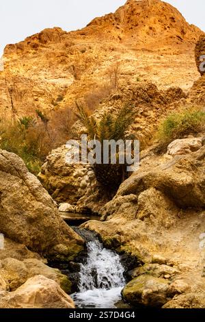 Une chute d'eau litte dans l'oasis de montagne. Montagne Atlas, Chebika, Tunisie, Afrique Banque D'Images