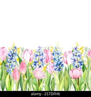 Bordure transparente. Composition aquarelle de tulipes roses, jacinthes bleues et brins de mimosa sur fond blanc. Design de ressort lumineux et délicat pour cartes, emballages, textiles et décors Banque D'Images