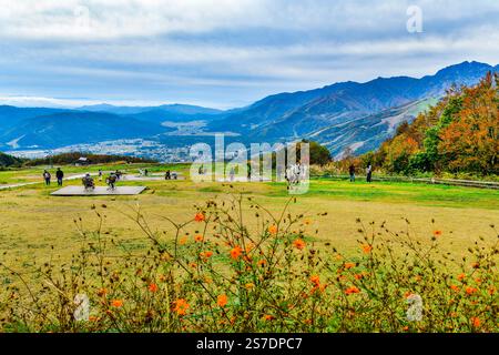 Nagano, Japon Oct 27,2024 : les feuilles d'automne à Hakuba Iwatake Green Park sur le sommet de la montagne ont des bancs installés dans la zone de pelouse ouverte de sorte que chaque Banque D'Images