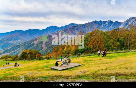 Nagano, Japon Oct 27,2024 : les feuilles d'automne à Hakuba Iwatake Green Park sur le sommet de la montagne ont des bancs installés dans la zone de pelouse ouverte de sorte que chaque Banque D'Images