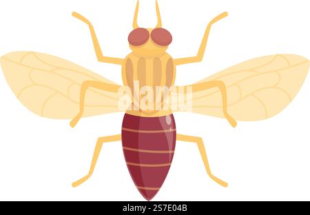 Vecteur de dessin animé d'icône d'insecte de mouche tsé-tsé. Moustique africain. Ailes de maison. Vecteur de dessin animé d'icône d'insecte de mouche tsé-tsé. Moustique africain Illustration de Vecteur