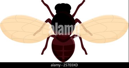 Vecteur de dessin animé d'icône de mouche tsé-tsé maison. Insecte africain. Animal de santé. Vecteur de dessin animé d'icône de mouche tsé-tsé maison. Insecte africain Illustration de Vecteur