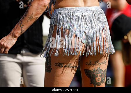 Melbourne, Australie. 19 janvier 2025. Un participant en costume profite du carnaval de Midsumma. Midsumma Carnival débute, le festival LGBTQIA de Melbourne, transformant Alexandra Gardens en une célébration vibrante de fierté, de diversité et de communauté avec des spectacles, des stands et des festivités joyeuses. Crédit : SOPA images Limited/Alamy Live News Banque D'Images