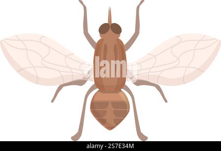 Vecteur de dessin animé d'icône de mouche tsé-tsé Glossinidae. Moustique insecte. Maison Tik. Vecteur de dessin animé d'icône de mouche tsé-tsé Glossinidae. Moustique insecte Illustration de Vecteur