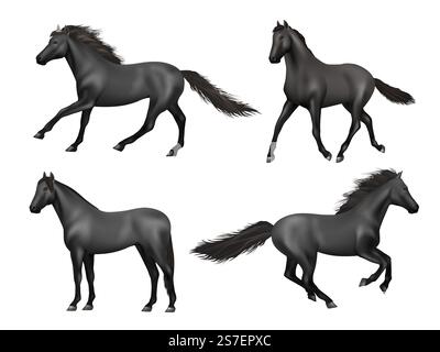 Chevaux galopants. Animaux en cours d'exécution réaliste cheval de selle beauté brun animal de puissance décent illustrations vectorielles. Ferme d'animaux de cheval à l'équitation. Chevaux galopants. Animaux en cours d'exécution réaliste cheval de selle beauté brun animal de puissance décent illustrations vectorielles Illustration de Vecteur