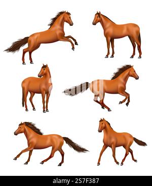 Cheval réaliste. Chevaux galopants sauvages exécution rapide différentes actions pose des illustrations vectorielles décentes ensemble de galop cheval sauvage isolé, étalon rapide. Cheval réaliste. Chevaux galopants sauvages courir rapidement différentes actions pose des illustrations vectorielles décentes ensemble Illustration de Vecteur