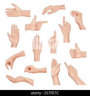 Gestes des mains. Des parties de corps anatomiques détaillées réalistes mains humaines, paume et doigts, modèle vectoriel décent. Illustration de la main réaliste isolé, geste à la communication. Gestes des mains. Des parties de corps anatomiques détaillées réalistes mains humaines, paume et doigts, modèle vectoriel décent Illustration de Vecteur