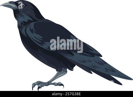 Couronne avec plumage noir, grand oiseau isolé, animal aviaire. Faune et flore des bois et des forêts. Tour ou corbeau avec griffes et plumes. Symbole de mystère et de nuit. Vecteur dans le style plat. Grands oiseaux noirs, corbeaux ou corbeaux aviaires Illustration de Vecteur