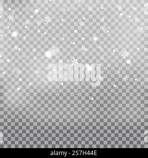 Chutes de neige, flocons de neige de différentes formes et formes. Flocons de neige, fond de neige. Neige de Noël pour la nouvelle année. Neige blanche volant sur transparent Illustration de Vecteur