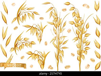 Plants d'avoine, flocons d'avoine. jeu d'icônes vectorielles réalistes 3d. Illustration de Vecteur