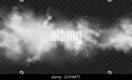 Explosion de neige blanche avec des particules et des flocons de neige éclaboussent isolés sur fond sombre transparent. Explosion de poudre de farine blanche, poudre de peinture Holi. Effet smog ou brouillard. Illustration vectorielle réaliste.. Explosion de neige blanche avec des particules et des flocons de neige éclaboussent isolés sur fond sombre transparent. Explosion de poudre de farine blanche, poudre de peinture Holi. Effet smog ou brouillard. Illustration vectorielle réaliste Illustration de Vecteur