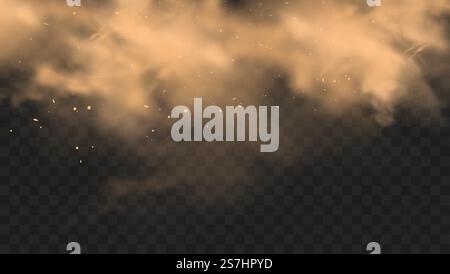 Nuage de sable de poussière avec des pierres et des particules poussiéreuses volantes isolées sur fond transparent. Tempête de sable du désert. Illustration vectorielle réaliste.. Nuage de sable de poussière avec des pierres et des particules poussiéreuses volantes isolées sur fond transparent. Tempête de sable du désert. Illustration vectorielle réaliste Illustration de Vecteur