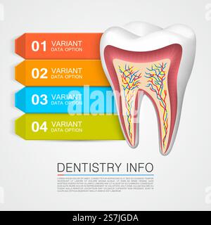 Dentisterie info art médical créatif. Illustration vectorielle Illustration de Vecteur