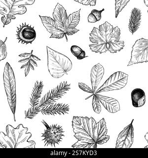 Motif sans couture des feuilles d'automne. Feuille tombée dessinée à la main, glands, cônes imprimés pour textile. Papiers peints, papier cadeau ou texture vectorielle de scrapbook. Feuillage gravé, feuilles et aiguilles d'épicéa. Motif sans couture des feuilles d'automne. Feuille tombée dessinée à la main, glands, cônes imprimés pour textile. Papiers peints, papier cadeau ou texture vectorielle de scrapbook Illustration de Vecteur