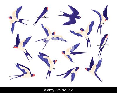 Dessins animés petite grange avaler oiseaux poses de vol. Les hirondelles plates volent dans le ciel et s'assoient sur le fil. Floc d'oiseaux blanc noir rapide. Ensemble de vecteurs de déglutition. Illustration de l'hirondelle du troupeau, des oiseaux de groupe d'ailes. Dessins animés petite grange avaler oiseaux poses de vol. Les hirondelles plates volent dans le ciel et s'assoient sur le fil. Floc d'oiseaux blanc noir rapide. Ensemble de vecteurs de déglutition Illustration de Vecteur
