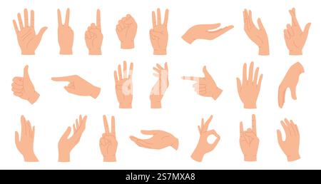 Les mains posent. Main féminine tenant et pointant des gestes, doigts croisés, poing, paix et pouce vers le haut. Ensemble de vecteurs de poignet et de paumes humaines de dessin animé. Communication ou parler avec emoji pour les messagers. Les mains posent. Main féminine tenant et pointant des gestes, doigts croisés, poing, paix et pouce vers le haut. Ensemble de vecteurs de poignet et de paumes humaines de dessin animé Illustration de Vecteur