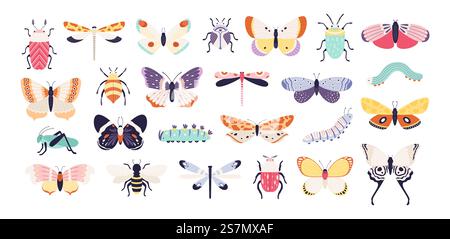 Insectes décoratifs. Coléoptères, papillons, libellules, abeilles, chenilles et sauterelles. Bug de printemps et ver, ensemble de vecteur plat. Sauterelle et libellule, papillon avec des ailes illustration. Insectes décoratifs. Coléoptères, papillons, libellules, abeilles, chenilles et sauterelles. Bogue et ver de printemps vintage, ensemble de vecteur plat Illustration de Vecteur