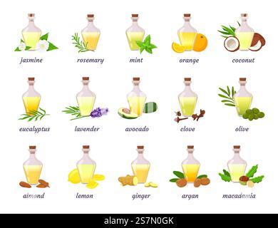 Bouteille cosmétique d'huile essentielle avec herbe, fruit et fleur. Huiles de lavande, d'argan, de noix de coco et d'amande. Ensemble de vecteurs d'aromathérapie ou d'huile de peau. Illustration de bouteille d'huile citron amande. Bouteille cosmétique d'huile essentielle avec herbe, fruit et fleur. Huiles de lavande, d'argan, de noix de coco et d'amande. Ensemble de vecteurs d'aromathérapie ou d'huile de peau Illustration de Vecteur