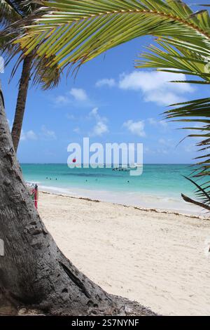 Palmiers et plages - Punta Cana, République Dominicaine Banque D'Images