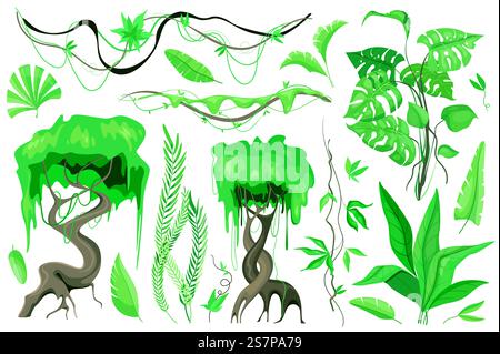 Les plantes tropicales et les lianes définissent des éléments graphiques dans un design plat. Faisceau de différents types d'arbres exotiques et de feuilles, de flore sauvage et d'autres feuillages verts de la jungle. Illustration vectorielle d'objets isolés Illustration de Vecteur