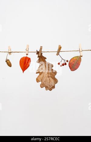 Éléments naturels d'automne suspendus sur la ligne de séchage. Banque D'Images