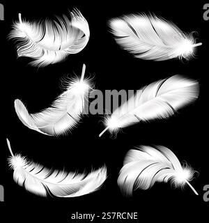 Ensemble réaliste de plumes blanches. Panache d'oiseau tourbillonnant moelleux tombant dans un angle différent, ange volant 3D ou plume de cygne. Symbole de légèreté et de douceur, vecteur isolé sur fond blanc collection. Ensemble réaliste de plumes blanches. Panache d'oiseau tourbillonnant moelleux tombant dans un angle différent, ange volant 3D ou plume de cygne. Symbole de légèreté et de douceur, collection isolée vectorielle Illustration de Vecteur
