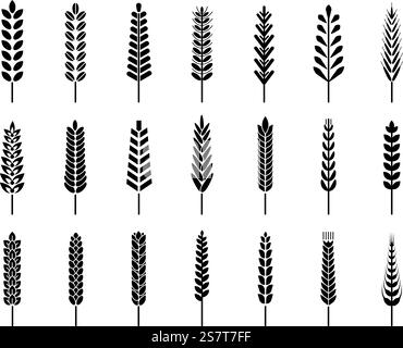 Icônes de silhouettes de blé noir isolées. Épis de seigle d'orge, symboles d'agriculture céréalière. Ferme saisonnière, pain biologique ou récolte décent signes vectoriels de silhouette illustration de céréales. Icônes de silhouettes de blé noir isolées. Épis de seigle d'orge, symboles d'agriculture céréalière. Ferme saisonnière, pain biologique ou récolte décent signes vectoriels Illustration de Vecteur