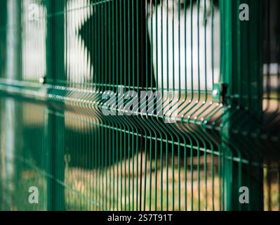 Focalisation sélective sur la clôture en maille métallique avec des cellules rectangulaires. Banque D'Images