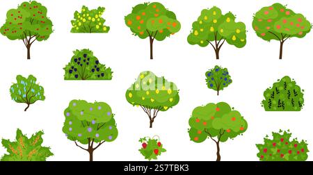 Récoltez l'arbre fruitier, les arbres fruitiers poussant et le buisson avec des baies. Produits de jardinage frais biologiques, abricots et pêches, pommes et prunes, ensemble vecteur décent d'illustration d'arbre fruitier de récolte. Récoltez l'arbre fruitier, les arbres fruitiers poussant et le buisson avec des baies. Produits de jardinage frais biologiques, abricots et pêches, pommes et prunes, ensemble décent de vecteurs Illustration de Vecteur