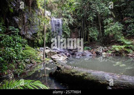Une cascade se jette dans une paisible piscine forestière entourée de rochers Banque D'Images